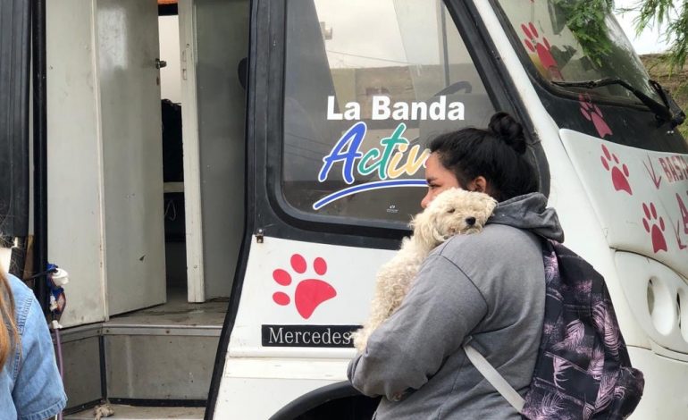En un año se realizaron más de 4 mil castraciones de perros y gatos en La Banda